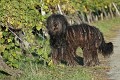 image_28__DSC0056